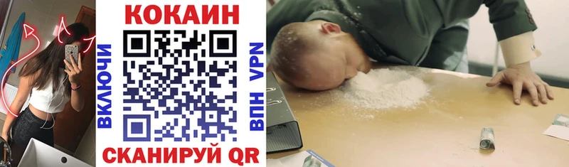 Купить закладки  Инсар  COCAIN Fish Scale 