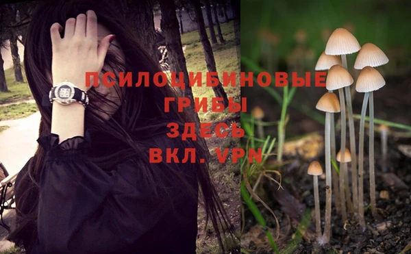 твердый Михайловка