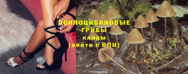 твердый Михайловка