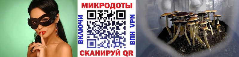 Купить закладки  Инсар  Галлюциногенные грибы мухоморы 